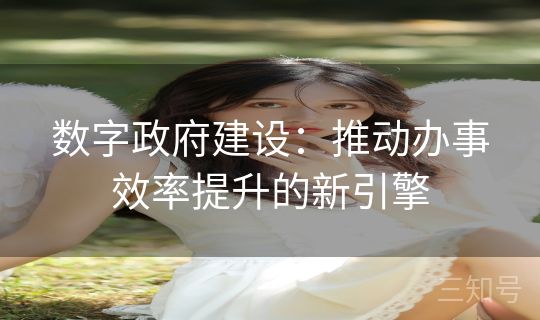 数字政府建设：推动办事效率提升的新引擎