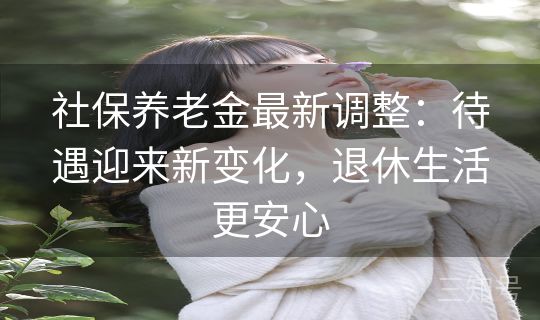 社保养老金最新调整：待遇迎来新变化，退休生活更安心