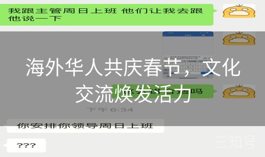 海外华人共庆春节,文化交流焕发活力 海外华人共庆春节,文化交流焕发活力