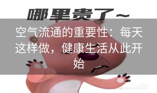 空气流通的重要性：每天这样做，健康生活从此开始