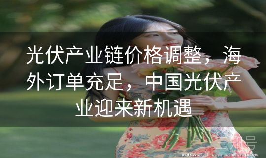 光伏产业链价格调整，海外订单充足，中国光伏产业迎来新机遇