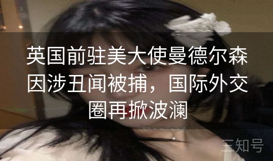 英国前驻美大使曼德尔森因涉丑闻被捕,国际外交圈再掀波澜 英国前驻美大使曼德尔森因涉丑闻被捕,国际外交圈再掀波澜