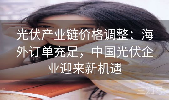 光伏产业链价格调整:海外订单充足,中国光伏企业迎来新机遇 光伏产业链价格调整:海外订单充足,中国光伏企业迎来新机遇