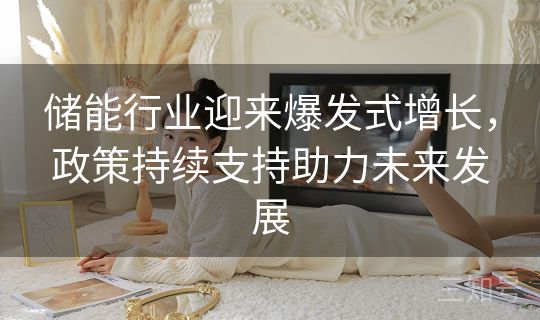 储能行业迎来爆发式增长，政策持续支持助力未来发展