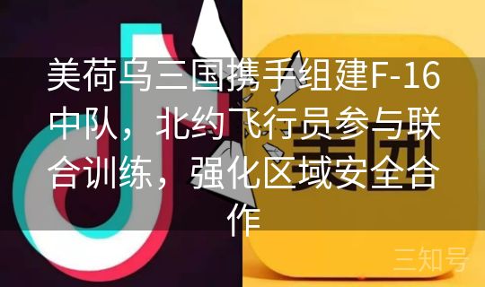 美荷乌三国携手组建F-16中队，北约飞行员参与联合训练，强化区域安全合作