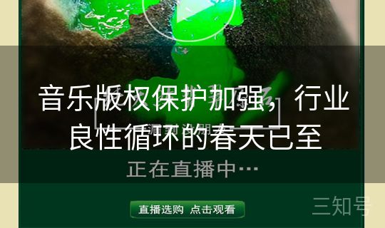 音乐版权保护加强，行业良性循环的春天已至