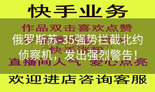 俄罗斯苏-35强势拦截北约侦察机，发出强烈警告！