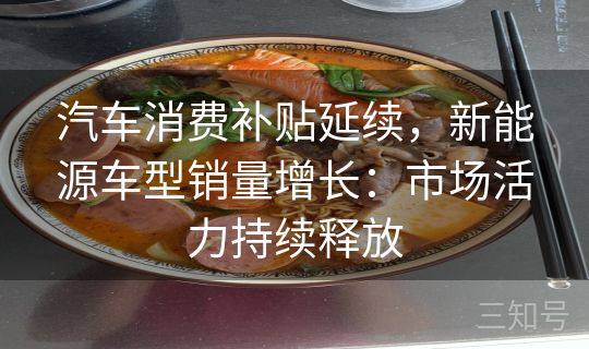 汽车消费补贴延续,新能源车型销量增长:市场活力持续释放 汽车消费补贴延续,新能源车型销量增长:市场活力持续释放
