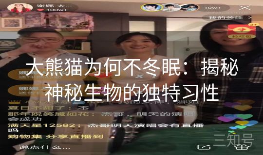 大熊猫为何不冬眠：揭秘神秘生物的独特习性