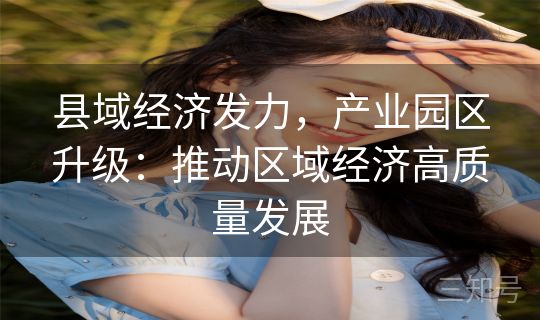 县域经济发力，产业园区升级：推动区域经济高质量发展