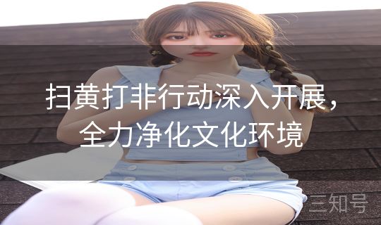 扫黄打非行动深入开展,全力净化文化环境 扫黄打非行动深入开展,全力净化文化环境