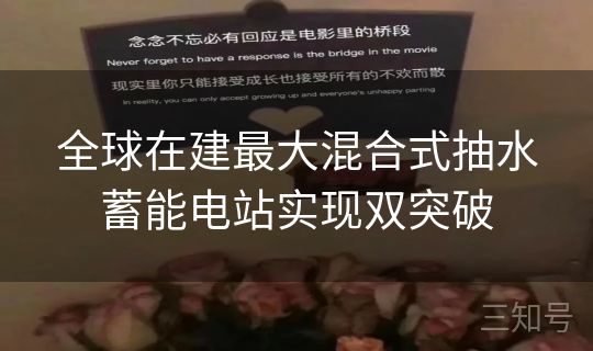 全球在建最大混合式抽水蓄能电站实现双突破