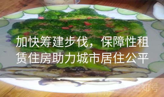 加快筹建步伐，保障性租赁住房助力城市居住公平