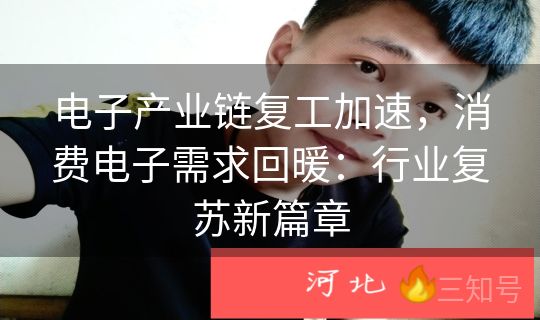 电子产业链复工加速,消费电子需求回暖:行业复苏新篇章 电子产业链复工加速,消费电子需求回暖:行业复苏新篇章