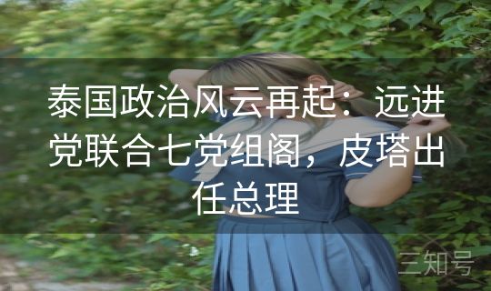 泰国政治风云再起：远进党联合七党组阁，皮塔出任总理