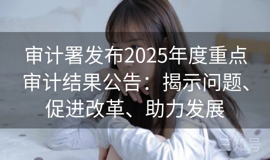审计署发布2025年度重点审计结果公告：揭示问题、促进改革、助力发展