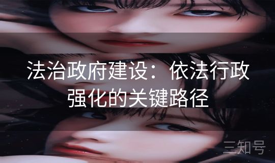 法治政府建设：依法行政强化的关键路径