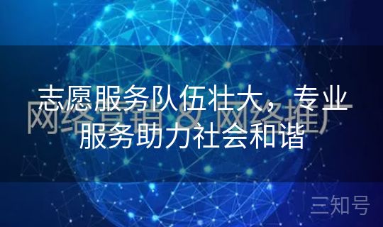 志愿服务队伍壮大，专业服务助力社会和谐