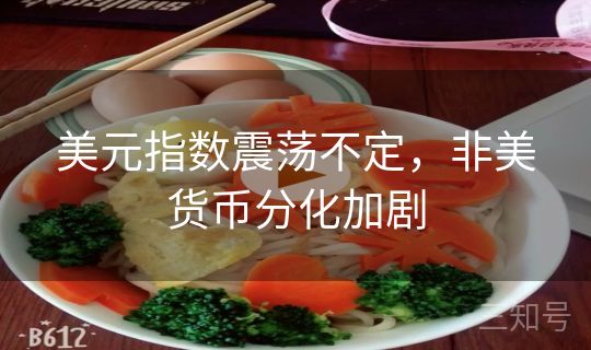 美元指数震荡不定，非美货币分化加剧