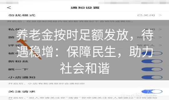 养老金按时足额发放，待遇稳增：保障民生，助力社会和谐