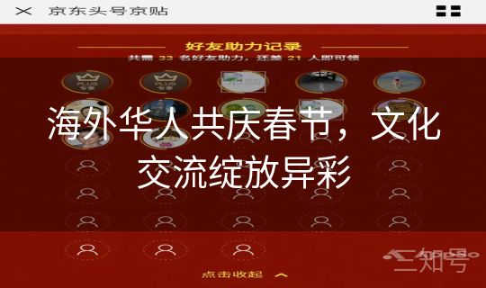 海外华人共庆春节，文化交流绽放异彩