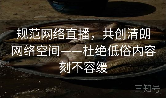 规范网络直播，共创清朗网络空间——杜绝低俗内容刻不容缓