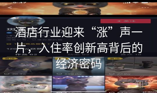 酒店行业迎来“涨”声一片，入住率创新高背后的经济密码