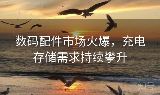 数码配件市场火爆,充电存储需求持续攀升 数码配件市场火爆,充电存储需求持续攀升