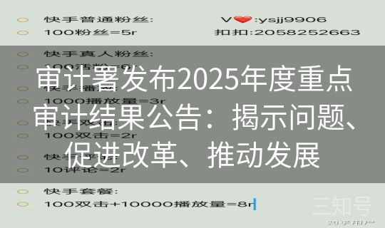 审计署发布2025年度重点审计结果公告：揭示问题、促进改革、推动发展