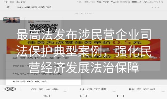 最高法发布涉民营企业司法保护典型案例，强化民营经济发展法治保障