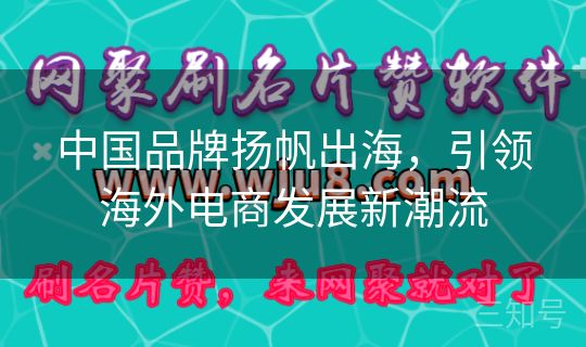中国品牌扬帆出海，引领海外电商发展新潮流