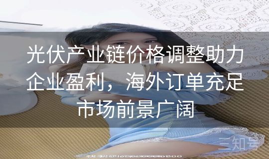 光伏产业链价格调整助力企业盈利，海外订单充足市场前景广阔