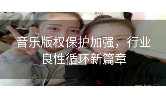 音乐版权保护加强，行业良性循环新篇章