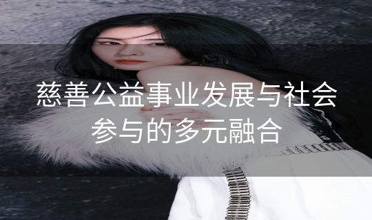 慈善公益事业发展与社会参与的多元融合