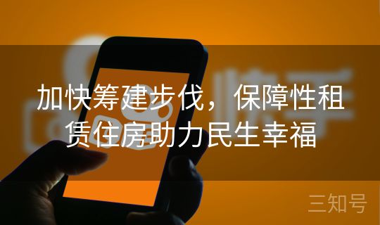 加快筹建步伐，保障性租赁住房助力民生幸福