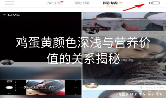 鸡蛋黄颜色深浅与营养价值的关系揭秘