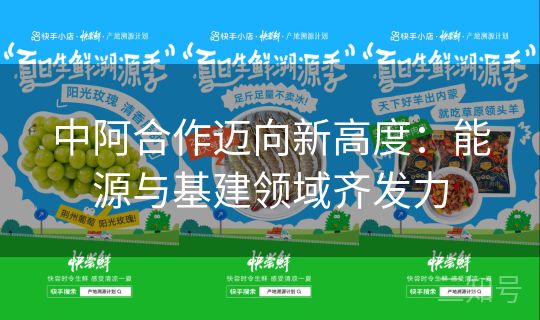 中阿合作迈向新高度：能源与基建领域齐发力