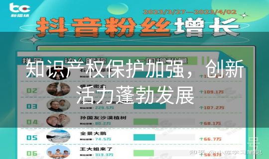 知识产权保护加强，创新活力蓬勃发展