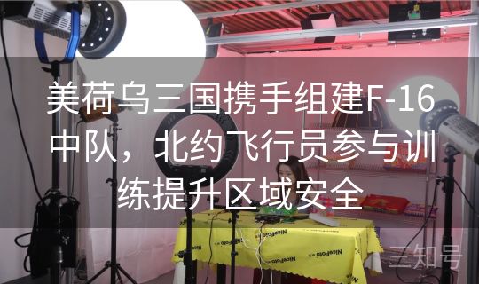 美荷乌三国携手组建F-16中队,北约飞行员参与训练提升区域安全 美荷乌三国携手组建F-16中队,北约飞行员参与训练提升区域安全