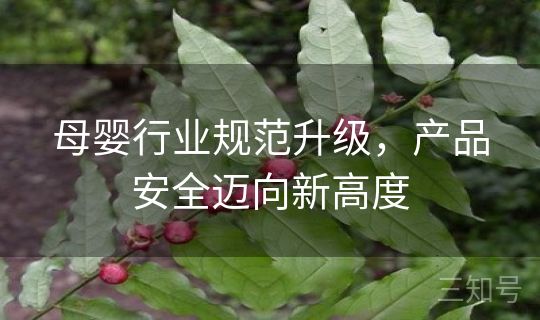 母婴行业规范升级，产品安全迈向新高度