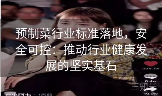 预制菜行业标准落地，安全可控：推动行业健康发展的坚实基石