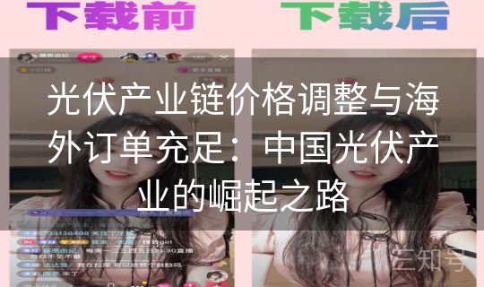 光伏产业链价格调整与海外订单充足:中国光伏产业的崛起之路 光伏产业链价格调整与海外订单充足:中国光伏产业的崛起之路