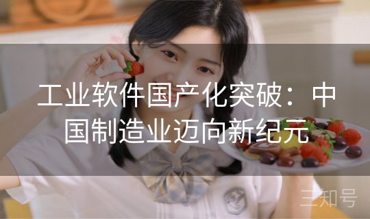 工业软件国产化突破：中国制造业迈向新纪元