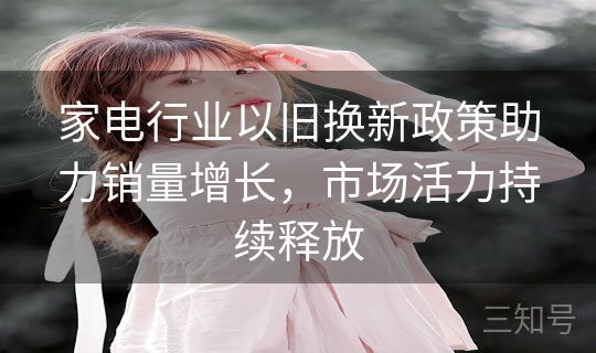 家电行业以旧换新政策助力销量增长,市场活力持续释放 家电行业以旧换新政策助力销量增长,市场活力持续释放