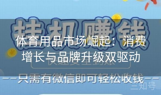 体育用品市场崛起:消费增长与品牌升级双驱动 体育用品市场崛起:消费增长与品牌升级双驱动