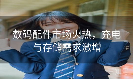 数码配件市场火热，充电与存储需求激增