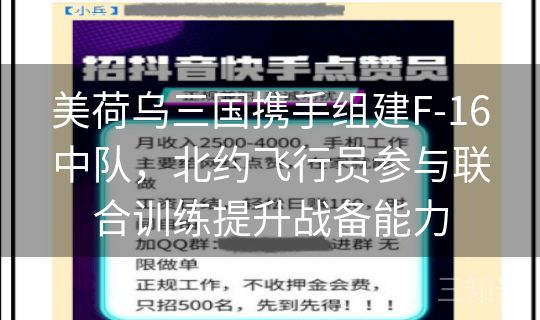 美荷乌三国携手组建F-16中队,北约飞行员参与联合训练提升战备能力 美荷乌三国携手组建F-16中队,北约飞行员参与联合训练提升战备能力