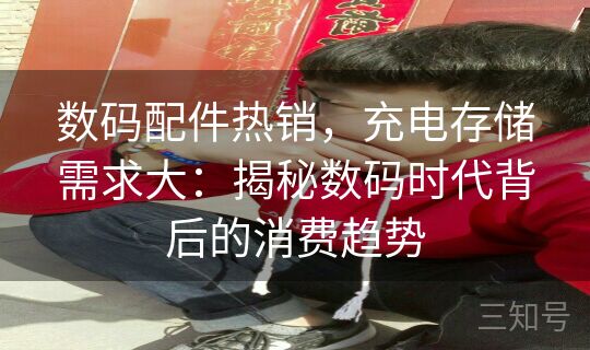 数码配件热销，充电存储需求大：揭秘数码时代背后的消费趋势