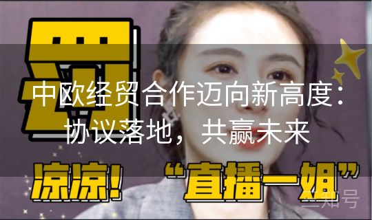 中欧经贸合作迈向新高度：协议落地，共赢未来