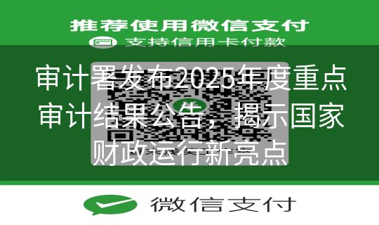 审计署发布2025年度重点审计结果公告，揭示国家财政运行新亮点